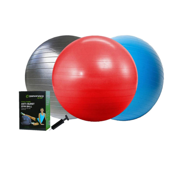 Balón Pilates +  Inflador - Natare Swim